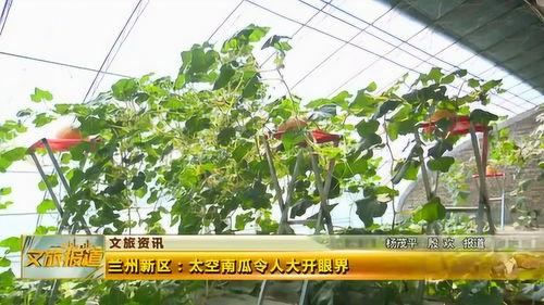 新瓜最新爆料兰州,揭秘城市背后的故事与秘密 第2张 新瓜最新爆料兰州,揭秘城市背后的故事与秘密 第2张